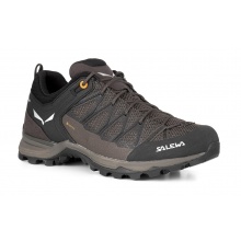 Salewa Wanderschuhe Mtn Trainer Lite GTX (Zustieg, wasserdicht) braun Herren